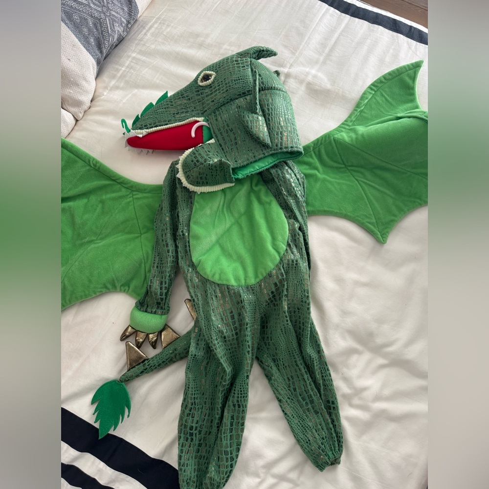 Pottery Barn kids green dragon costume size 3T